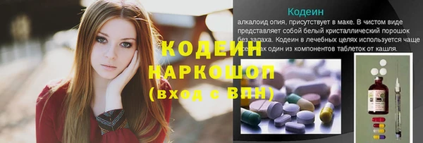твердый Лагань