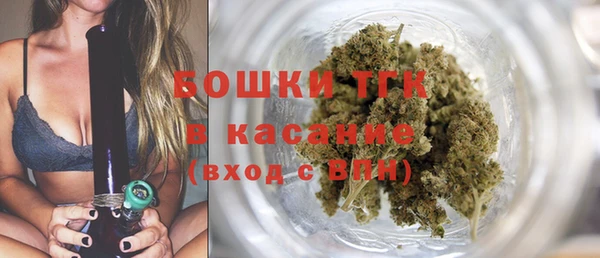 твердый Лагань