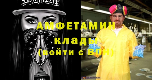 твердый Лагань