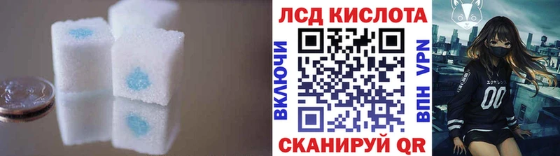 Купить закладки  Аргун  ЛСД экстази кислота 