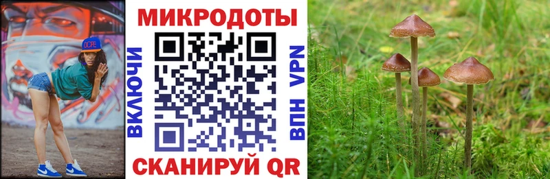 Купить где  Аргун  Псилоцибиновые грибы Psilocybine cubensis 