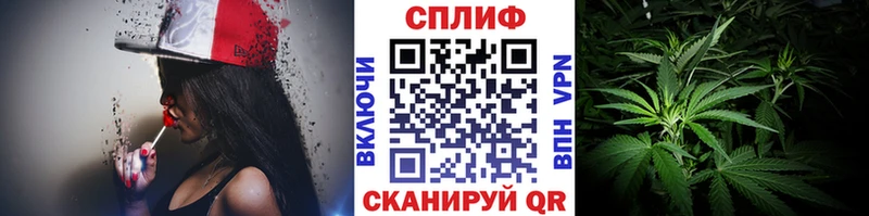 МАРИХУАНА сатива Аргун