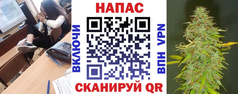 Канабис OG Kush  Купить где  Аргун 